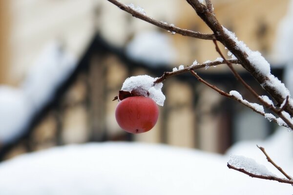 Der Winter und all seine Pracht