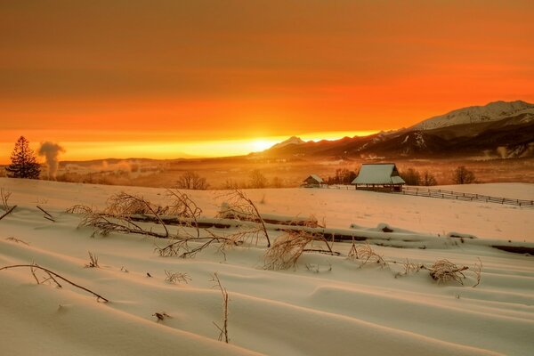 Sunset and snow-covered field