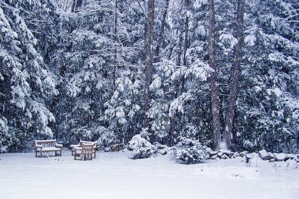 Hiver froid et neige