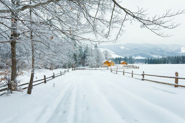 Droga w górzystym terenie pokryta czystym śniegiem