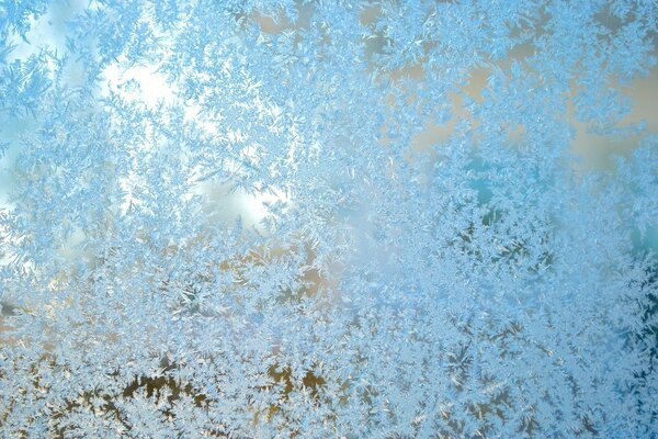 Wach auf tanze die Schneeflocken erschienen