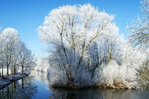 Invierno frío, escarcha de nieve