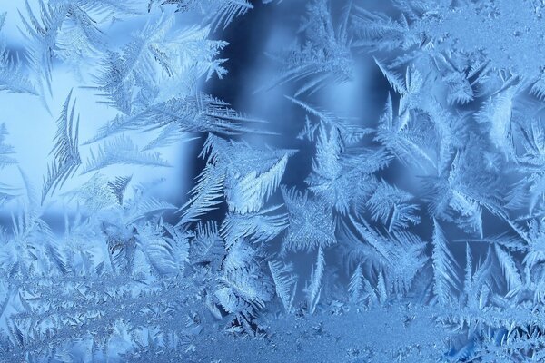 Beautiful patterns of frosty night