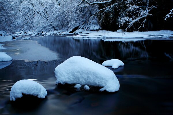 Winter waters in frozen forests