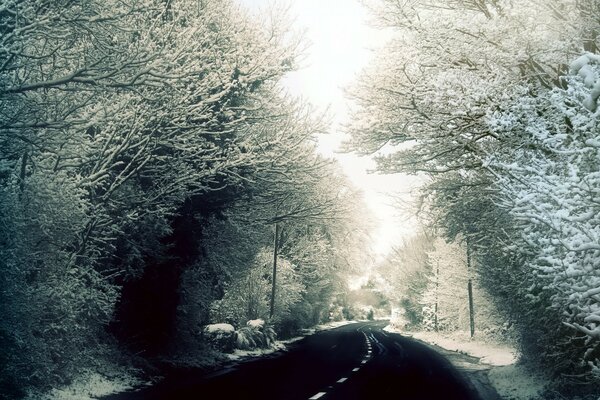 O inverno é caro no nevoeiro. Viagem