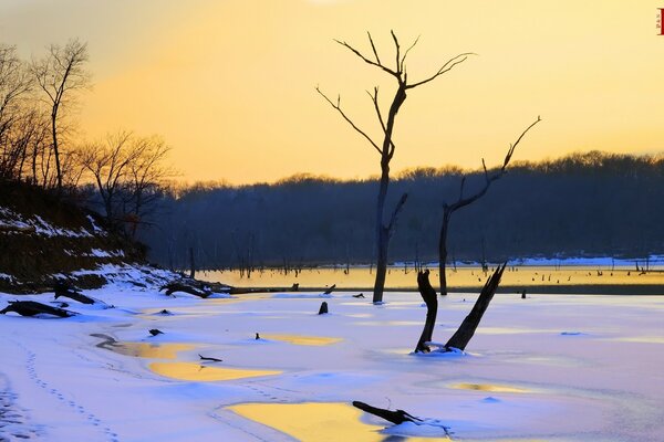 The melted river in winter among the forest