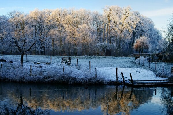 Winter landscape by quiet water