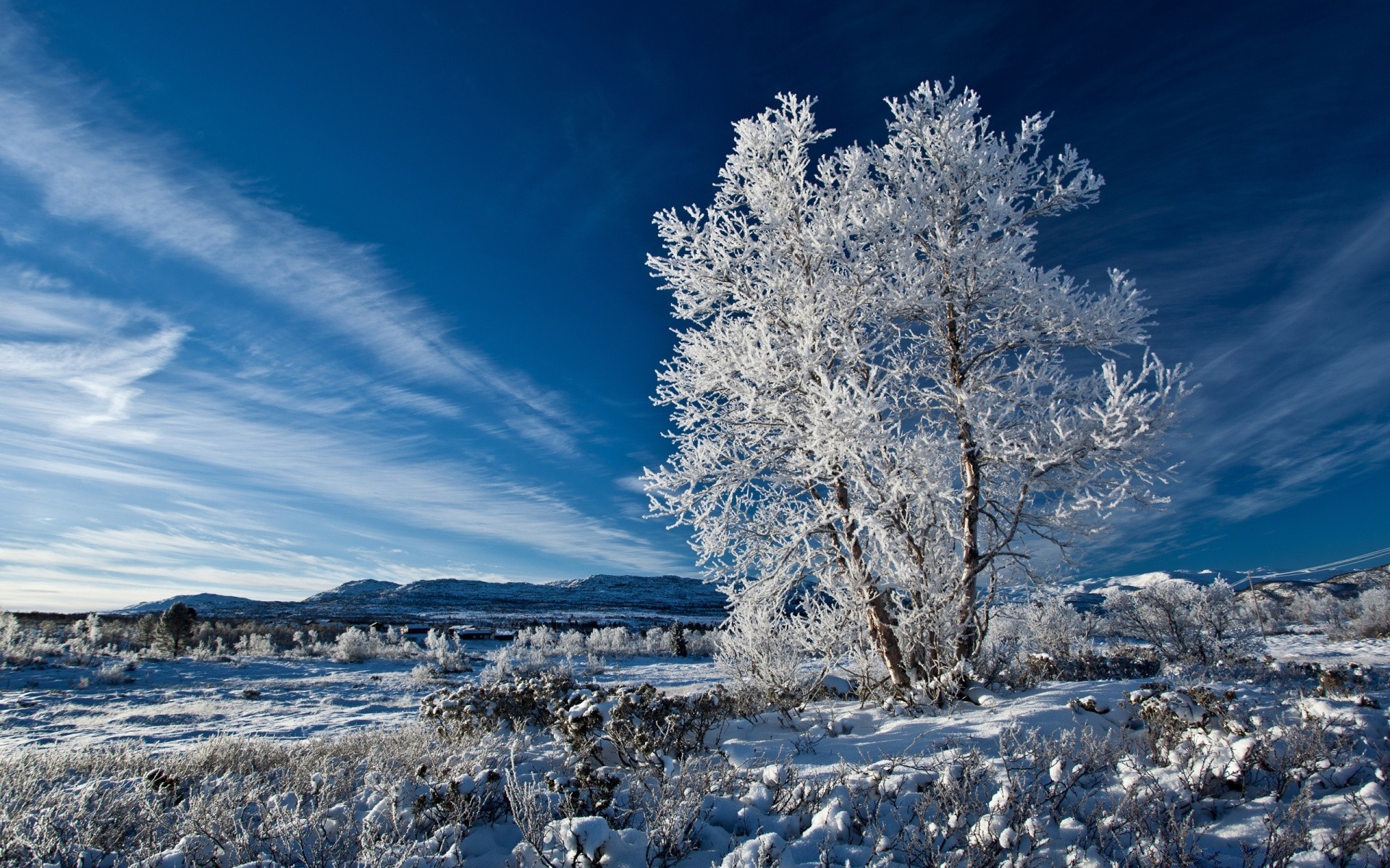 winter snow frost landscape cold frozen nature tree sky ice weather scenic season outdoors fair weather wood scene