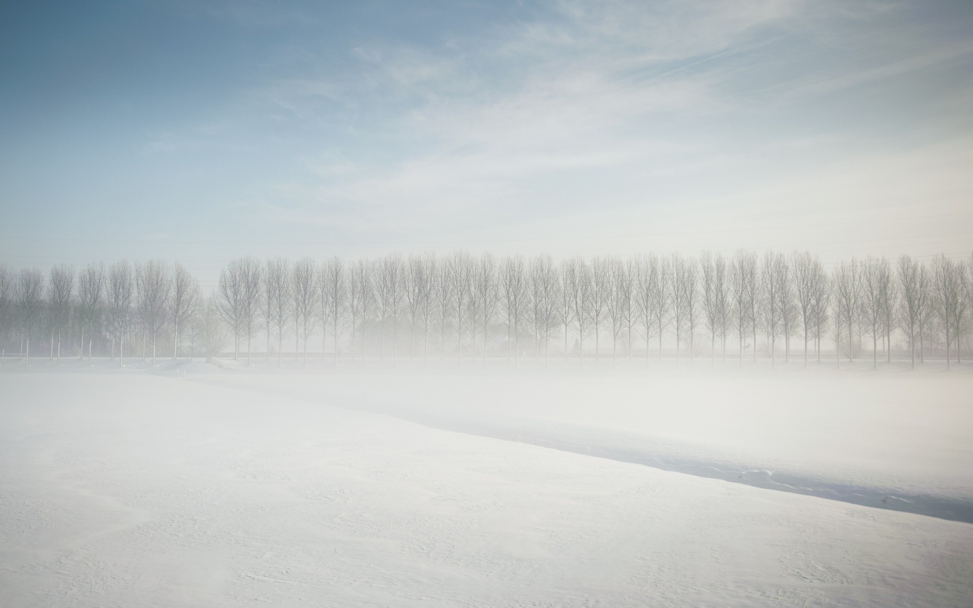 冬季 雪 景观 冷 雾 天气 霜 冻结 冰 木 木 雾 黎明 自然 湖 风景 户外