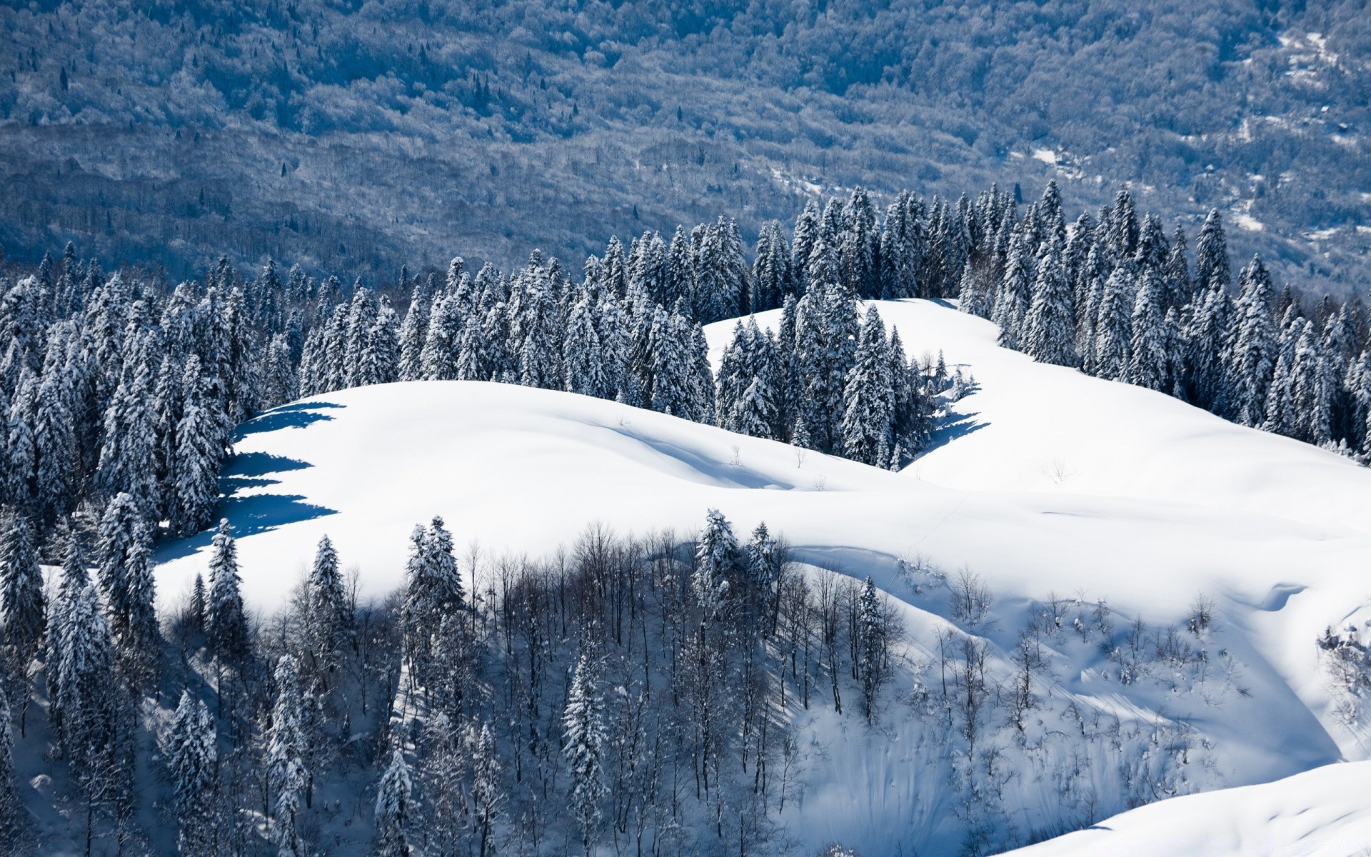 winter schnee berg kälte landschaftlich eis holz landschaft verschneit frost gefroren hügel resort berggipfel jahreszeit wetter alpine baum