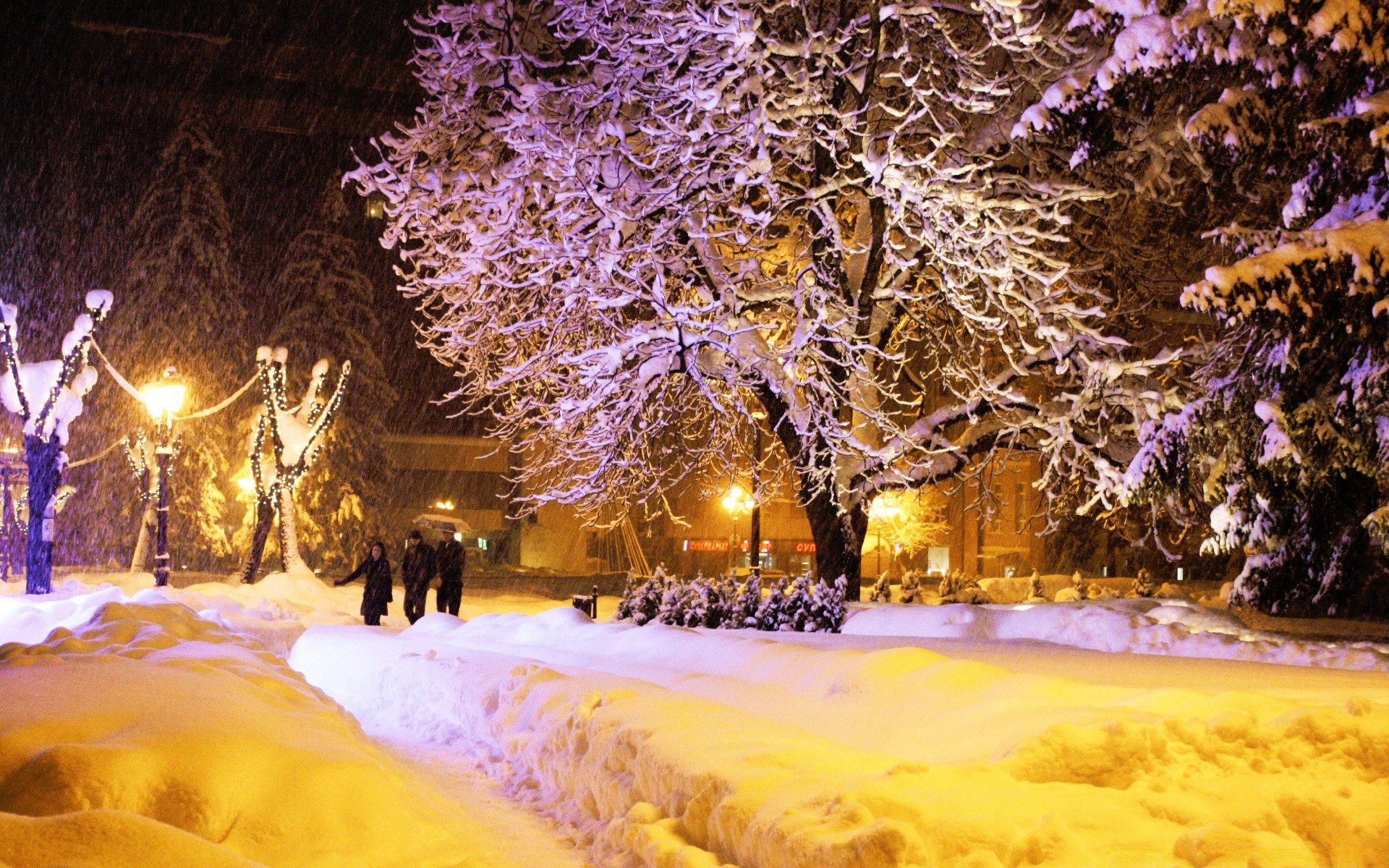 inverno árvore neve luz natal paisagem viagens madeira ao ar livre