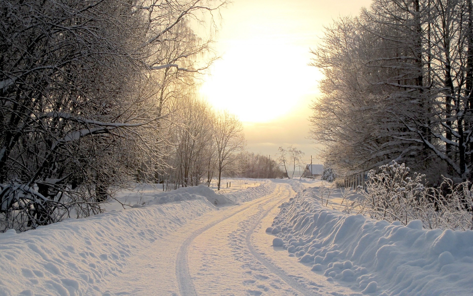 winter snow cold frost frozen landscape ice season wood weather tree nature snowstorm snow-white fair weather branch scenic road frosty