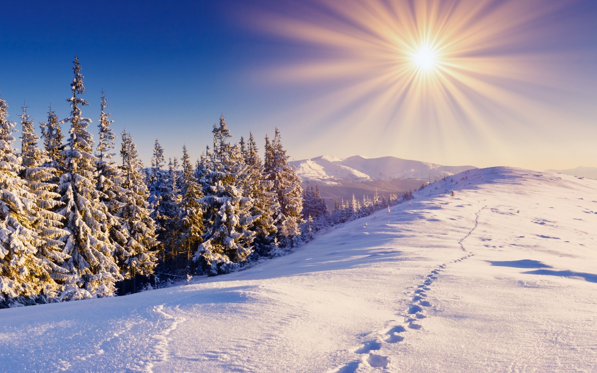 hiver neige gel froid congelé saison paysage beau temps bois glace scénique nature bois montagne météo neige-blanc