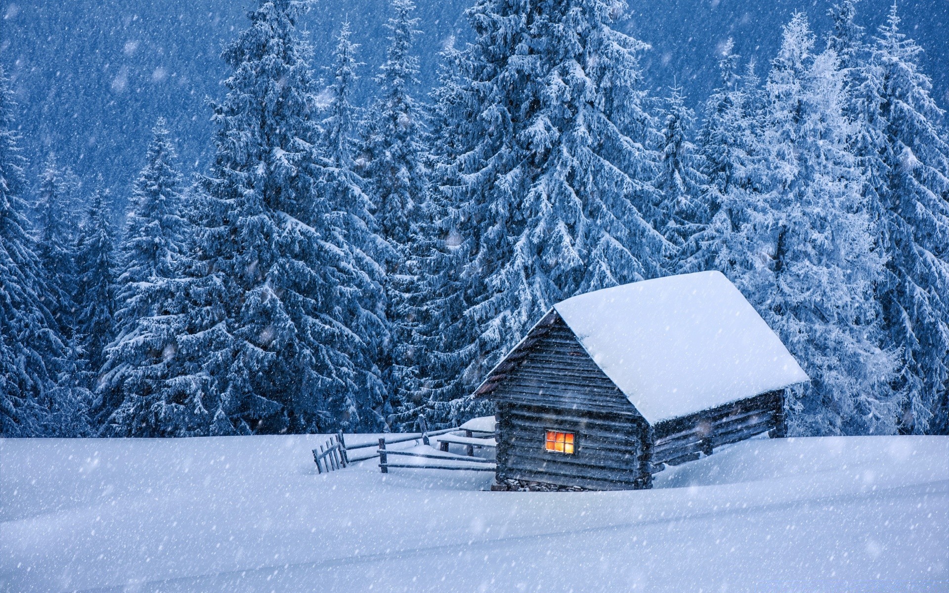 hiver neige froid gel congelé glace bois saison tempête de neige montagnes givré neigeux météo congère paysage neige-blanc bois glacial