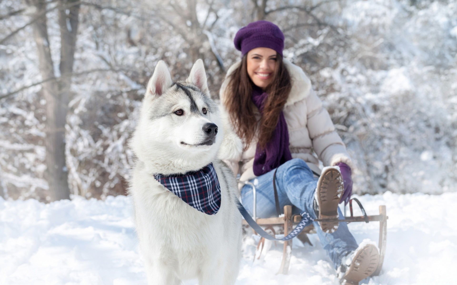 invierno nieve frío trineo escarcha al aire libre temporada trineo escarcha hielo madera diversión cubierta bufanda tiempo naturaleza mujer