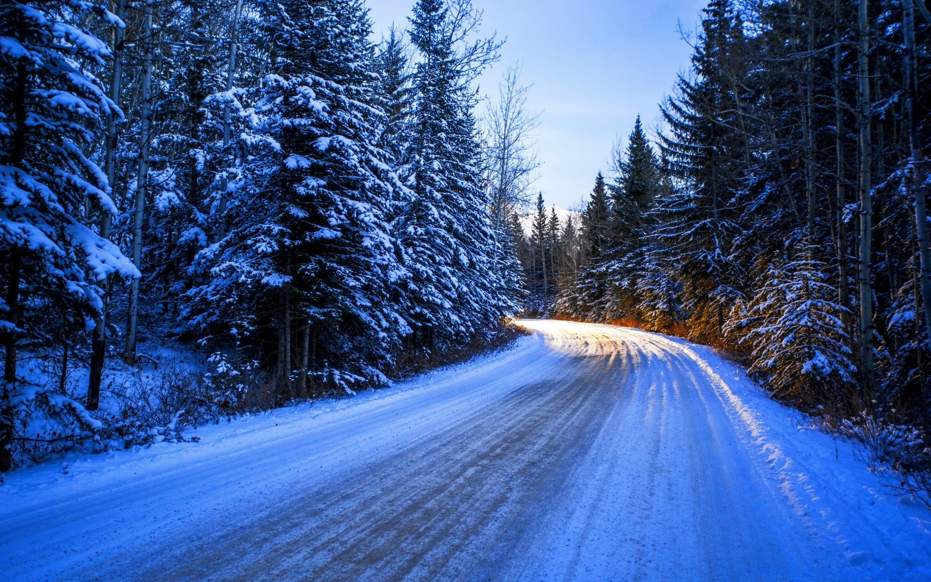 inverno neve madeira geada frio paisagem árvore temporada congelado cênica estrada gelo natureza tempo pinho pista bom tempo guia cena