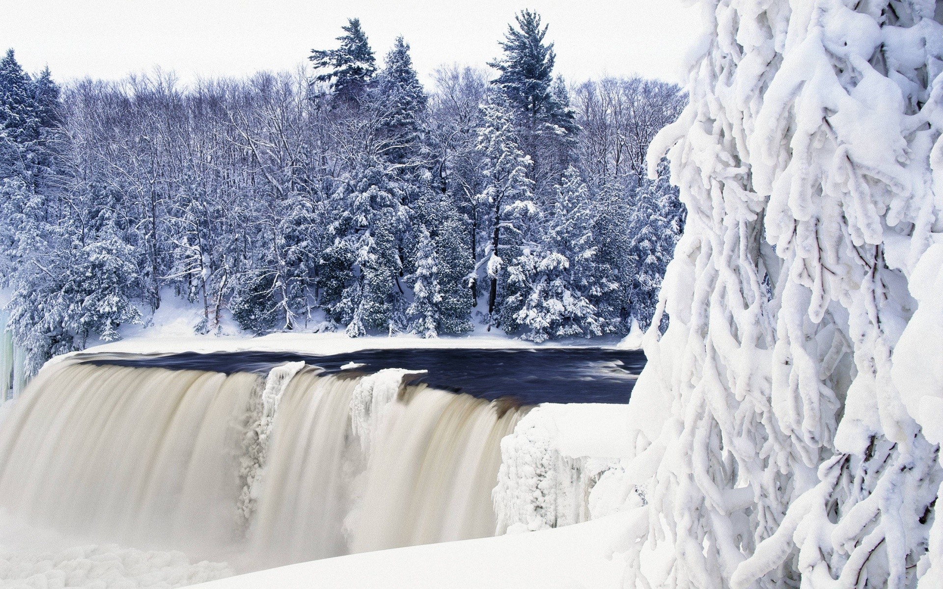 hiver neige froid glace gel congelé bois scénique montagnes paysage nature arbre saison congère neigeux météo en plein air givré