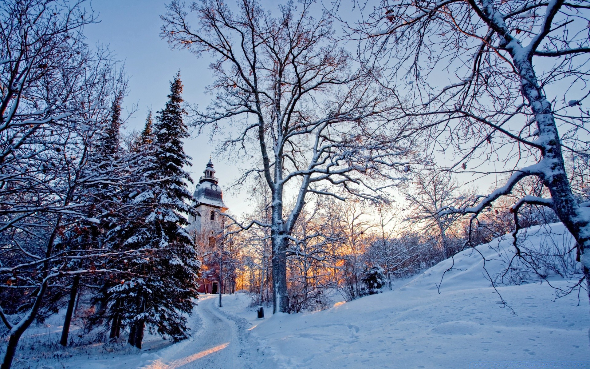 winter schnee kälte holz holz saison frost landschaft gefroren wetter eis landschaftlich zweig szene verschneit park schnee-weiß landschaft natur