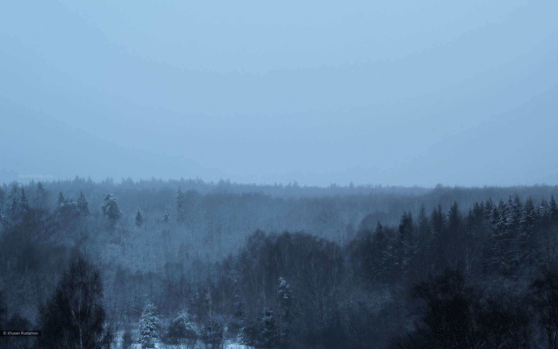 winter fog mist landscape tree nature snow smoke sky fall dawn weather wood outdoors haze cold water