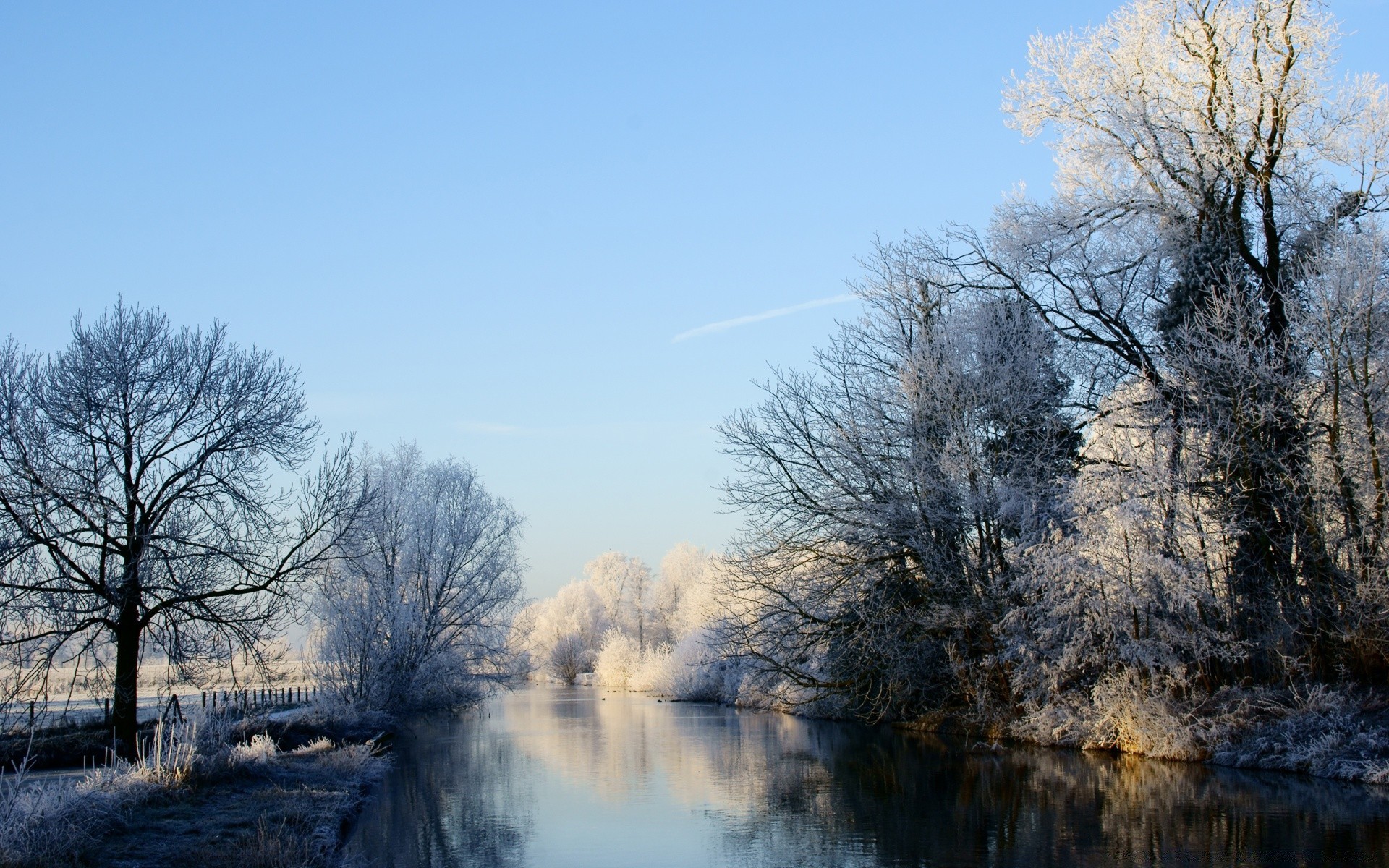 hiver paysage neige bois bois froid nature gel météo brouillard glace saison congelé à l extérieur parc aube scénique beau temps branche