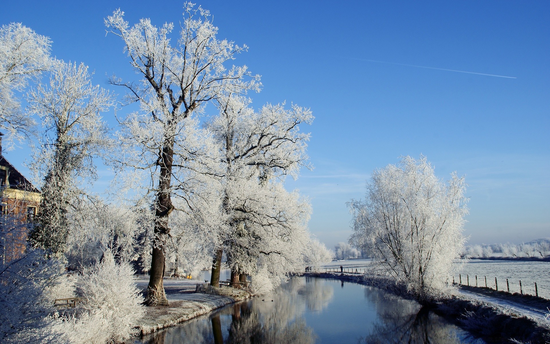 winter snow frost cold wood tree landscape frozen ice weather nature outdoors scenic season