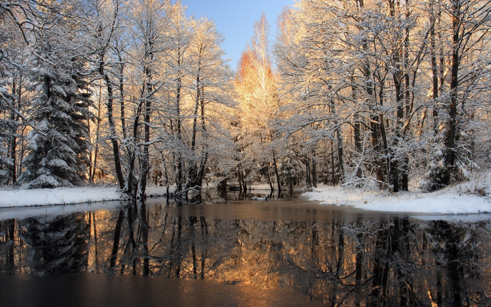 Forest Lake Winter Desktop Wallpapers For Free