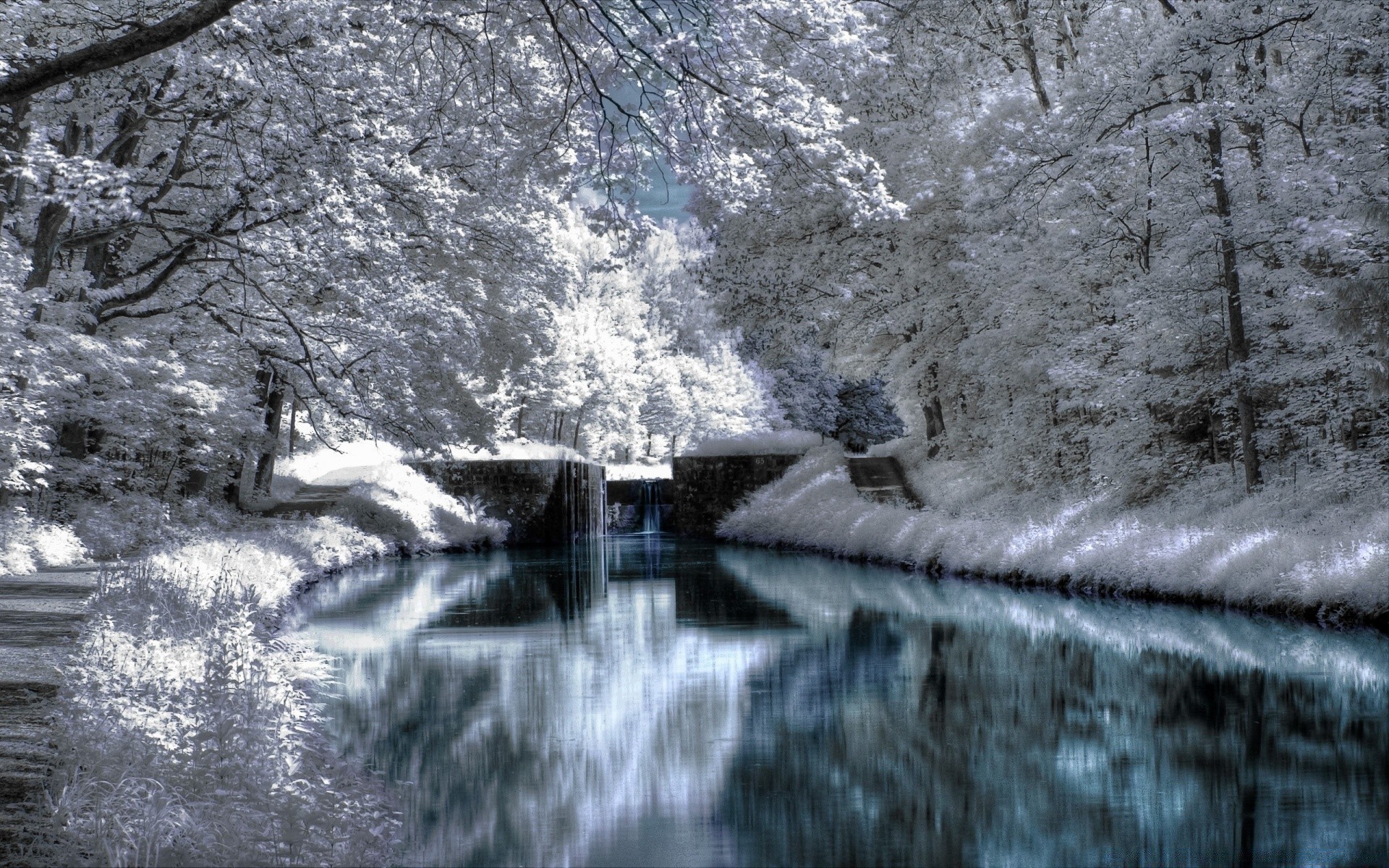 冬天 寒冷 雪 水 冰 冰冻 景观 霜 木材 自然 河流 树木 户外 天气 运动 季节 旅行 环境