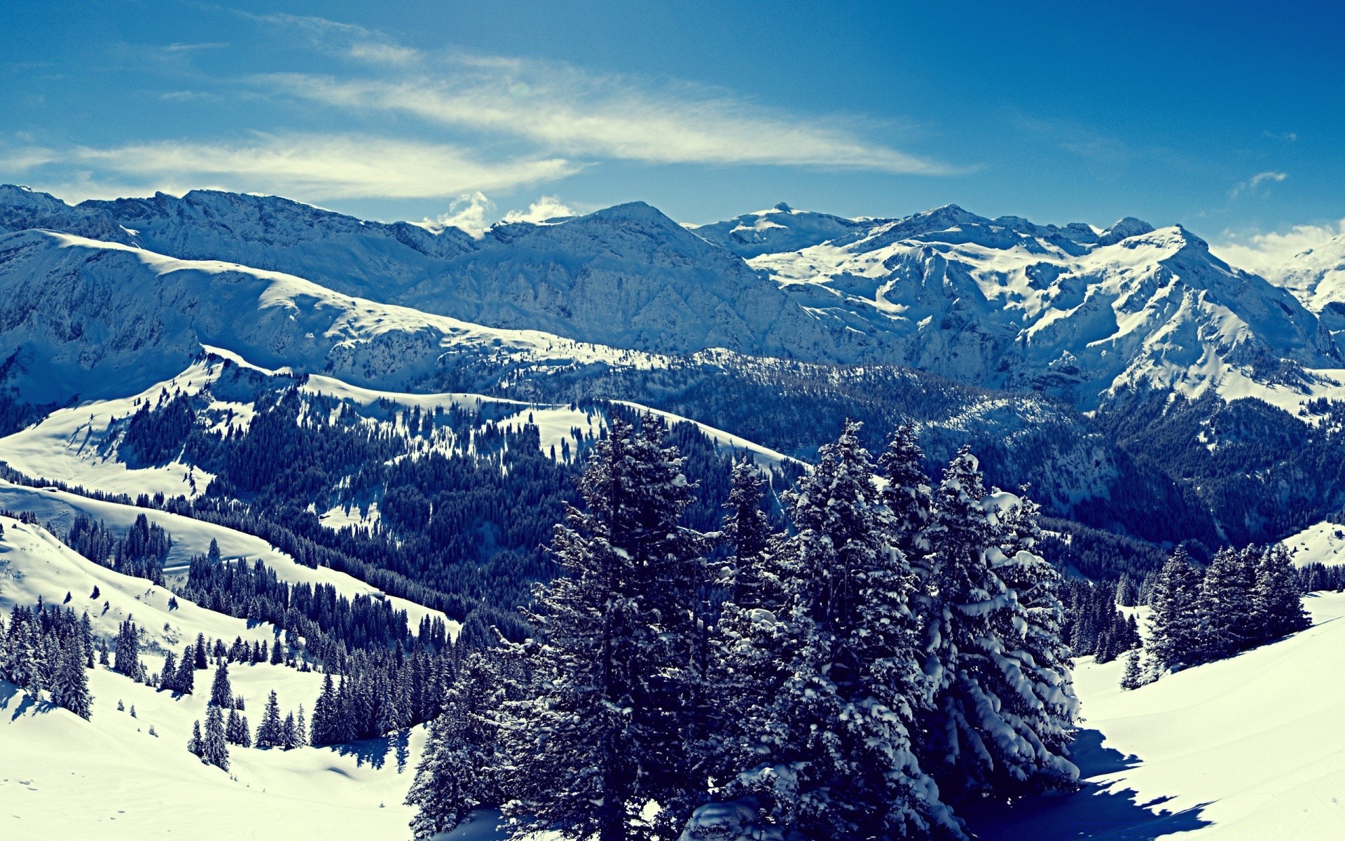 winter schnee berge landschaftlich holz landschaft berggipfel tal alpine evergreen reisen eis hügel kälte im freien baum