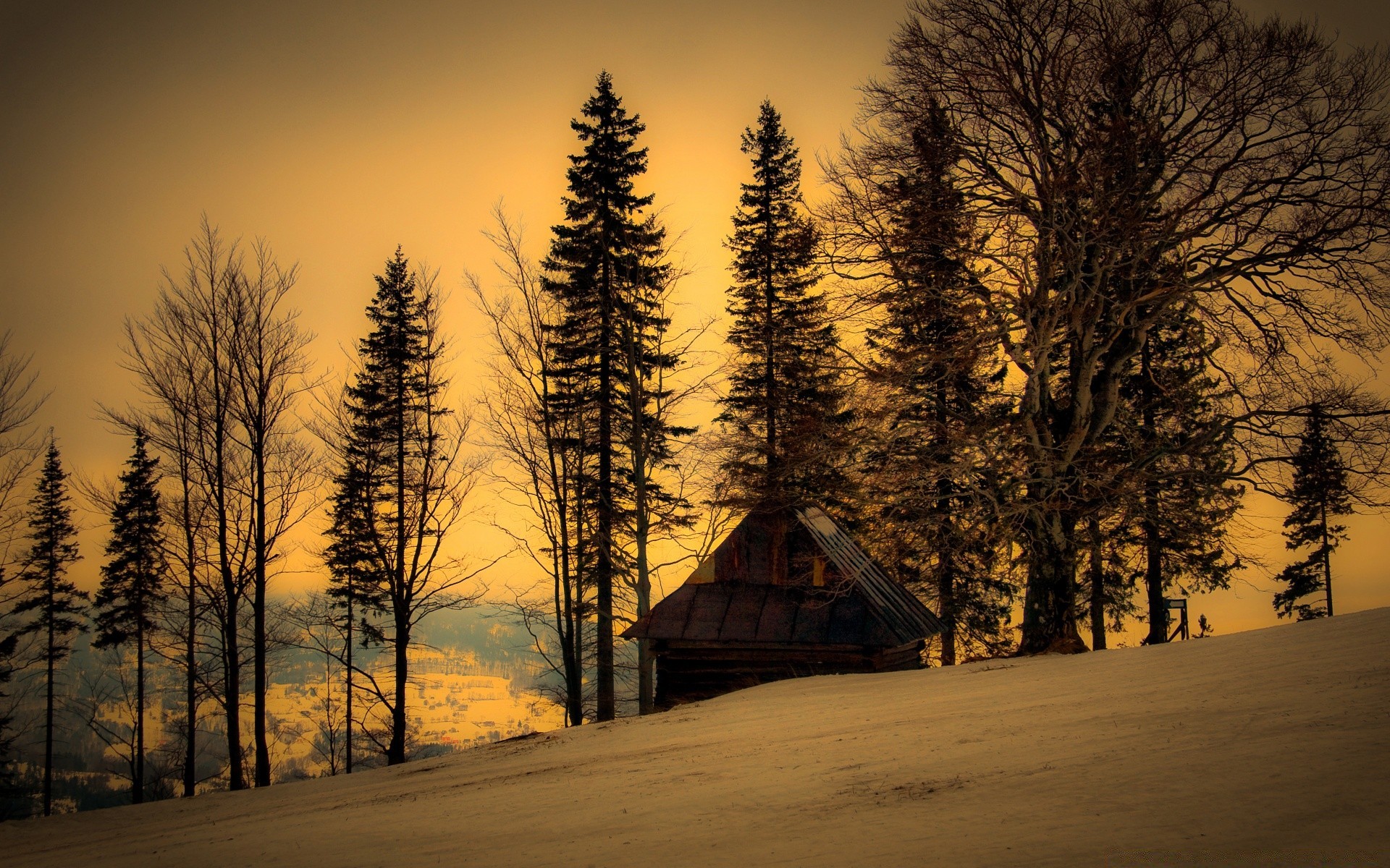 winter holz holz dämmerung schnee landschaft nebel sonnenuntergang nebel herbst natur im freien sonne licht