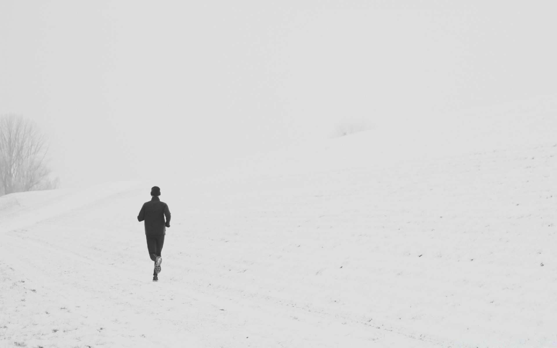 hiver neige froid paysage brouillard glace météo action en plein air congelés oiseau lumière tempête de neige piste arbre adulte givré nature plage