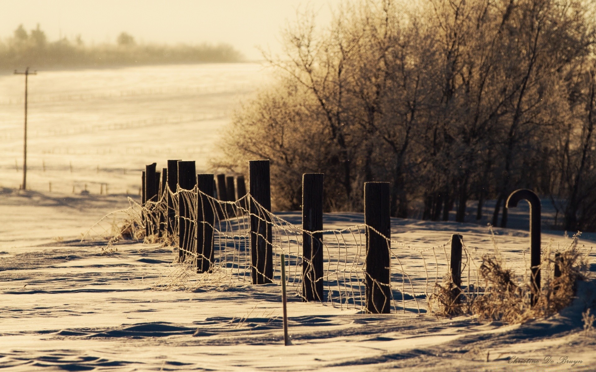 winter water fence monochrome beach landscape dawn