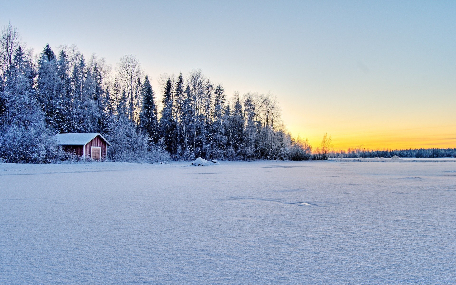 winter schnee kälte holz frost gefroren landschaft eis wetter frostig baum landschaftlich berge dämmerung nebel jahreszeit plesid evergreen lappland