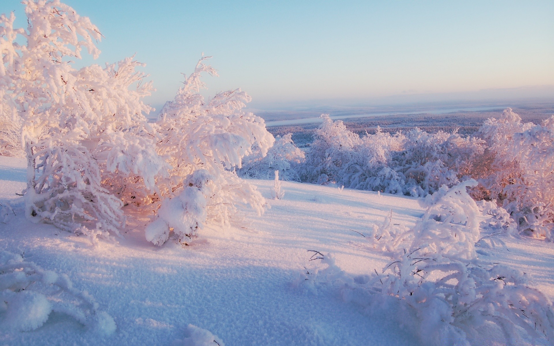 winter schnee kälte landschaft frost eis berge gefroren landschaftlich baum reisen natur himmel wetter im freien jahreszeit holz gutes wetter tageslicht