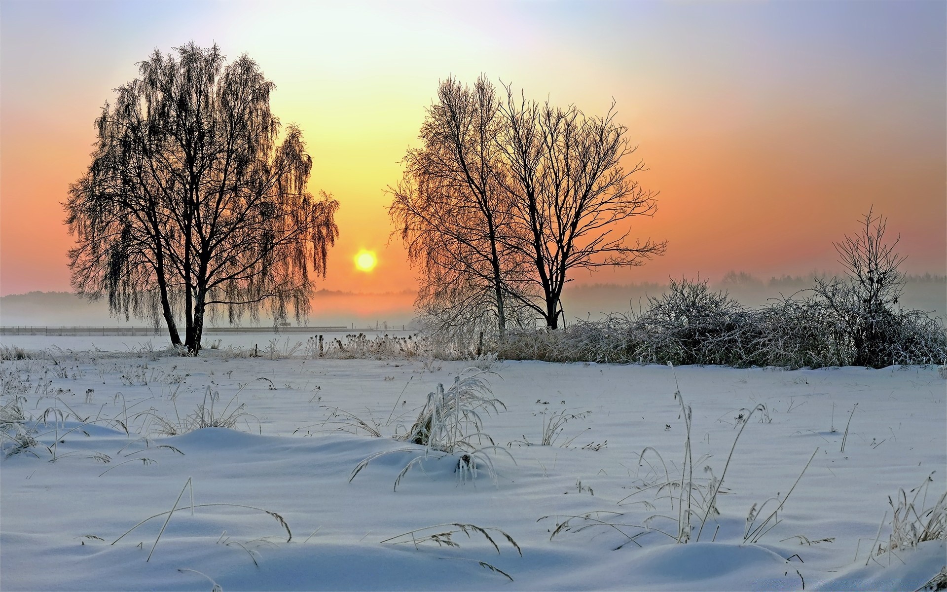 inverno neve congelato freddo paesaggio alba gelo tempo albero ghiaccio stagione natura bel tempo tramonto legno sole scenico neve-bianco nebbia