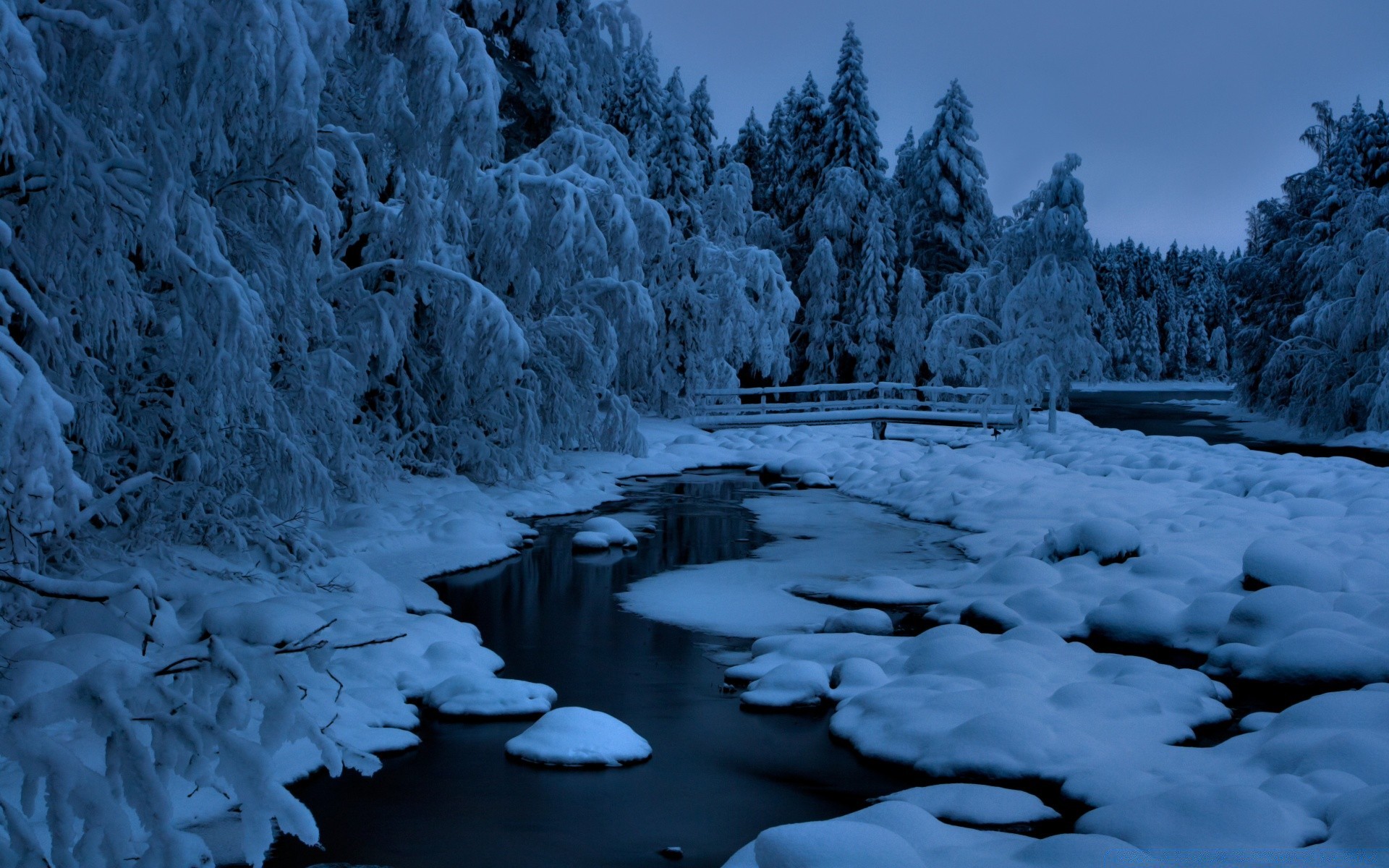 hiver neige glace froid gel bois congelé eau à l extérieur paysage nature bois rivière givré