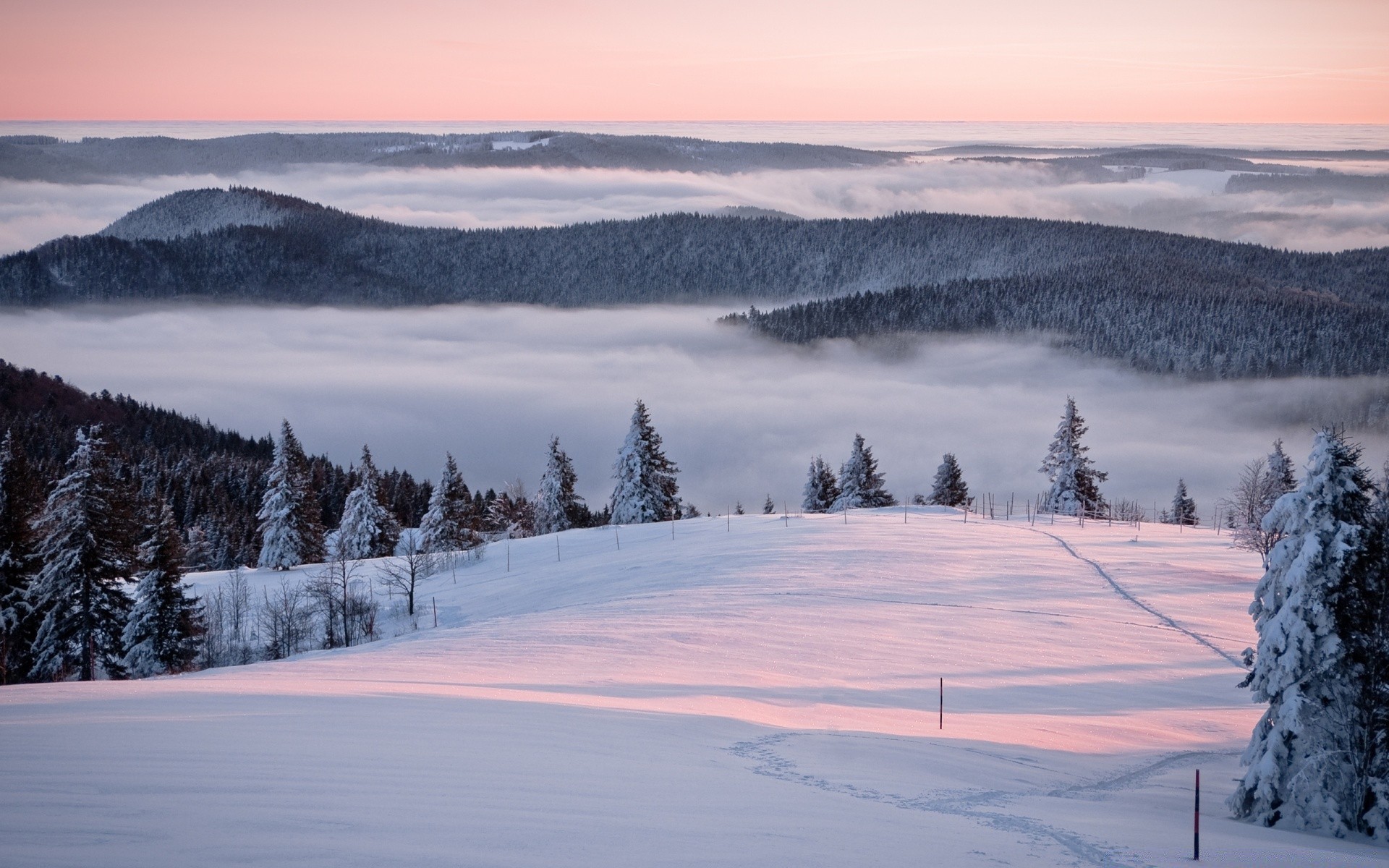 hiver neige froid montagnes paysage scénique glace gel congelé bois nature à l extérieur voyage givré arbre colline ciel météo