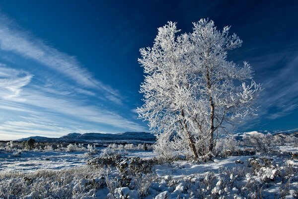 Winterlandschaft des kalten Winters