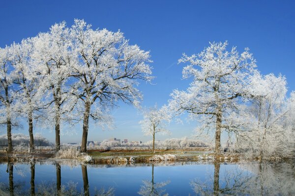 Sogno invernale dei parchi urbani