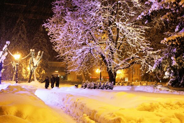 Decorazioni natalizie nel parco invernale