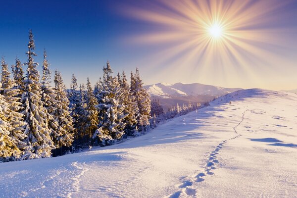 Pendii innevati in una mattina gelida