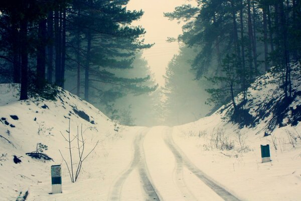 汽车雪道穿过森林路