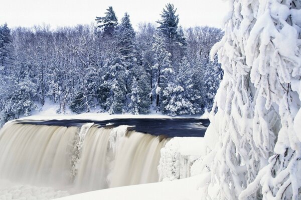 Frozen waterfall in the winter forest