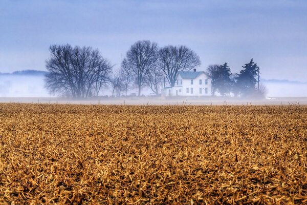 Automne brumeux à la ferme familiale