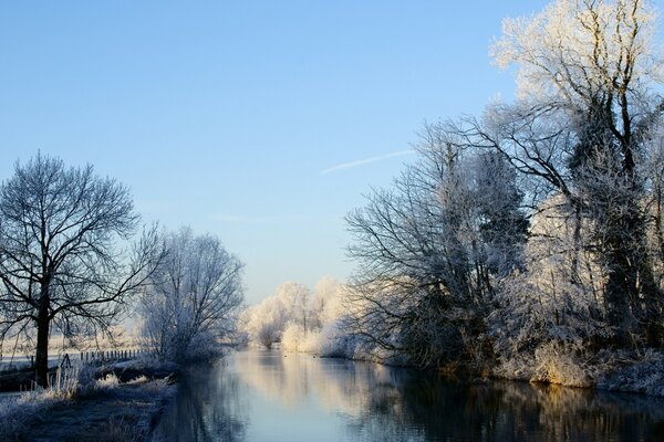 Calm water against the background of snowy trees