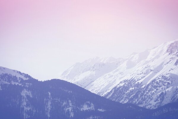 Le brouillard entoure les falaises de montagne