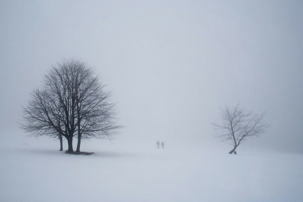 Deux personnes dans le brouillard de neige