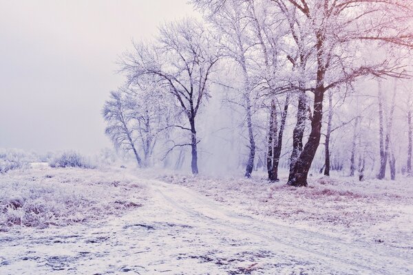 The landscape is snow-covered roads and trees