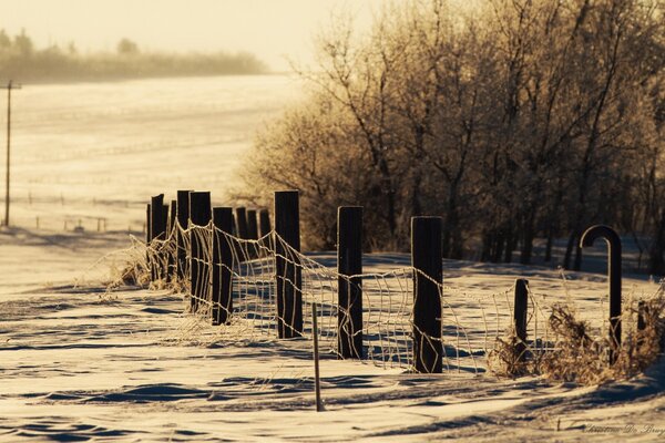 Valla de nieve con malla en el campo