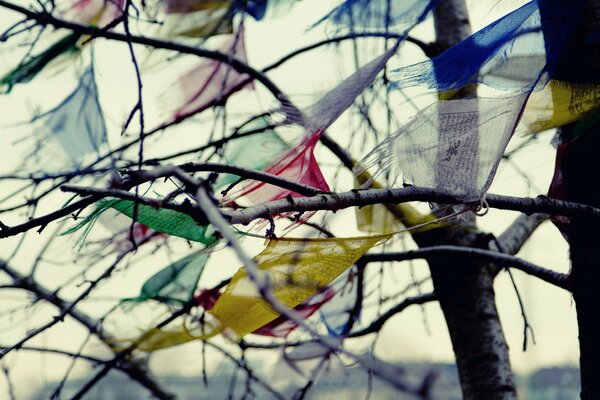 Colorful rags hanging on a tree