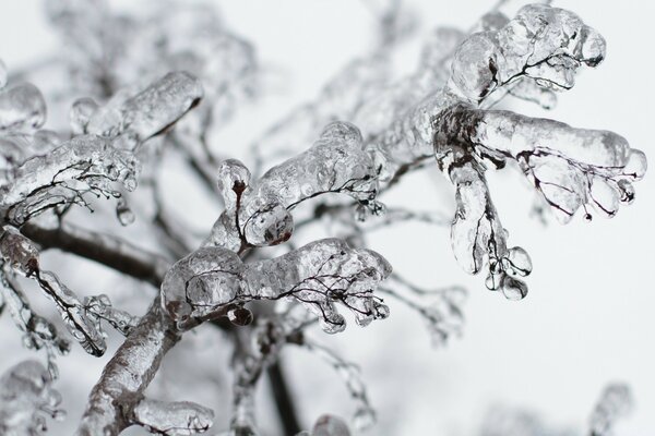 Winter Natur. Schöne Landschaft